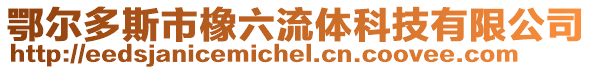 鄂爾多斯市橡六流體科技有限公司