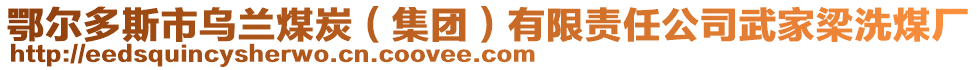 鄂爾多斯市烏蘭煤炭（集團(tuán)）有限責(zé)任公司武家梁洗煤廠