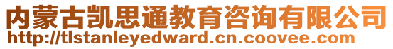 內(nèi)蒙古凱思通教育咨詢(xún)有限公司