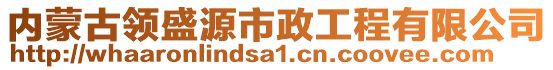 內(nèi)蒙古領(lǐng)盛源市政工程有限公司