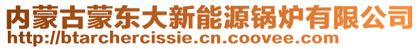 內(nèi)蒙古蒙東大新能源鍋爐有限公司