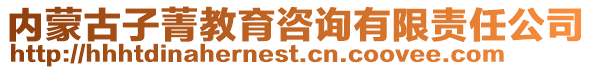 內(nèi)蒙古子菁教育咨詢有限責(zé)任公司