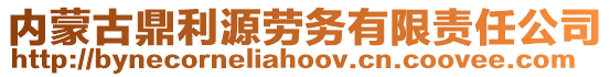 內(nèi)蒙古鼎利源勞務(wù)有限責(zé)任公司