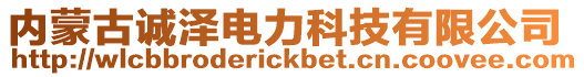 內(nèi)蒙古誠(chéng)澤電力科技有限公司