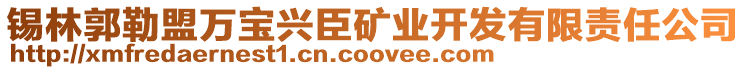 錫林郭勒盟萬寶興臣礦業(yè)開發(fā)有限責(zé)任公司