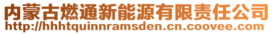 内蒙古燃通新能源有限责任公司