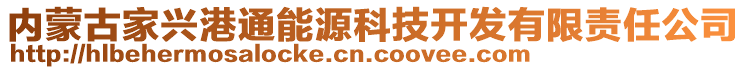 內(nèi)蒙古家興港通能源科技開發(fā)有限責任公司