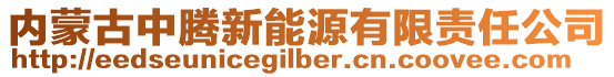 内蒙古中腾新能源有限责任公司