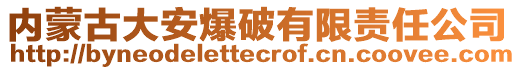 內蒙古大安爆破有限責任公司