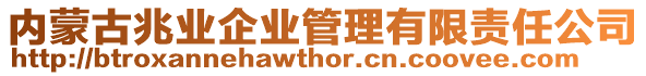 內(nèi)蒙古兆業(yè)企業(yè)管理有限責(zé)任公司