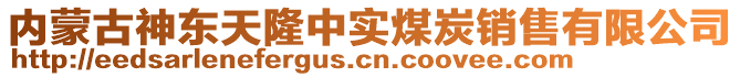 內(nèi)蒙古神東天隆中實(shí)煤炭銷售有限公司