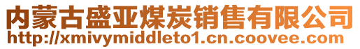 内蒙古盛亚煤炭销售有限公司