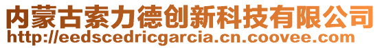 內(nèi)蒙古索力德創(chuàng)新科技有限公司