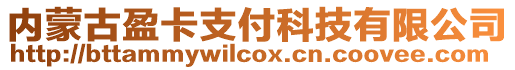 内蒙古盈卡支付科技有限公司