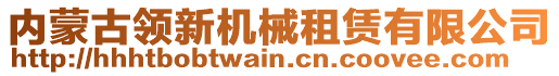 內(nèi)蒙古領(lǐng)新機(jī)械租賃有限公司