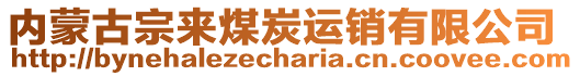 內(nèi)蒙古宗來煤炭運(yùn)銷有限公司