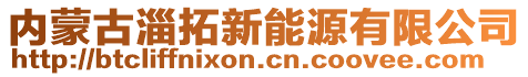 内蒙古淄拓新能源有限公司