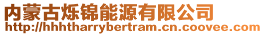 内蒙古烁锦能源有限公司