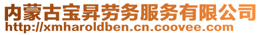 内蒙古宝昇劳务服务有限公司