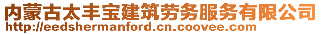 内蒙古太丰宝建筑劳务服务有限公司