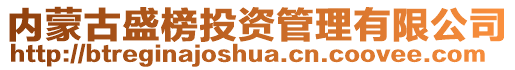 內(nèi)蒙古盛榜投資管理有限公司