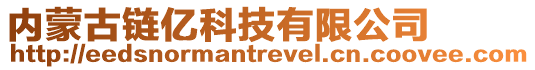 內(nèi)蒙古鏈億科技有限公司