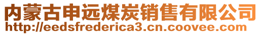 內(nèi)蒙古申遠(yuǎn)煤炭銷售有限公司