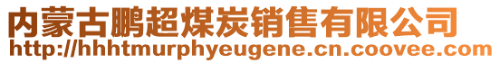 內(nèi)蒙古鵬超煤炭銷售有限公司