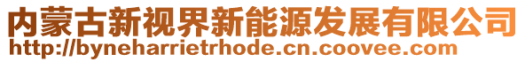 内蒙古新视界新能源发展有限公司