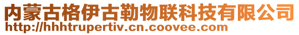 內(nèi)蒙古格伊古勒物聯(lián)科技有限公司