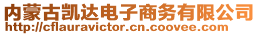 內(nèi)蒙古凱達電子商務有限公司