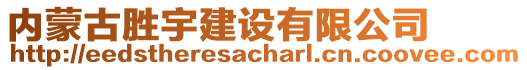 内蒙古胜宇建设有限公司