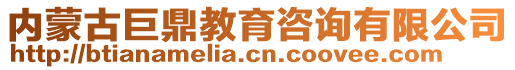 內(nèi)蒙古巨鼎教育咨詢有限公司