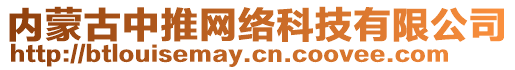 內(nèi)蒙古中推網(wǎng)絡(luò)科技有限公司