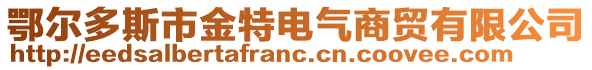 鄂爾多斯市金特電氣商貿(mào)有限公司