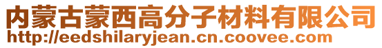 內(nèi)蒙古蒙西高分子材料有限公司