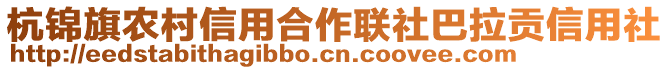 杭錦旗農(nóng)村信用合作聯(lián)社巴拉貢信用社