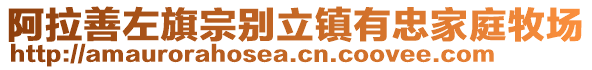 阿拉善左旗宗別立鎮(zhèn)有忠家庭牧場(chǎng)