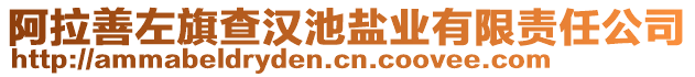 阿拉善左旗查漢池鹽業(yè)有限責任公司