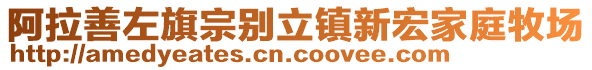 阿拉善左旗宗別立鎮(zhèn)新宏家庭牧場