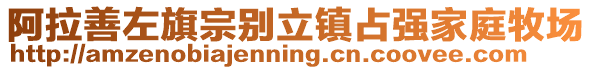 阿拉善左旗宗別立鎮(zhèn)占強(qiáng)家庭牧場(chǎng)