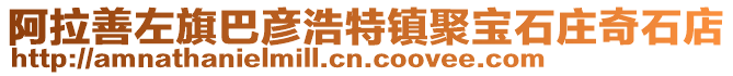 阿拉善左旗巴彦浩特镇聚宝石庄奇石店