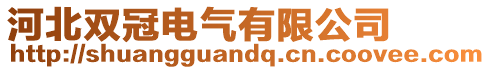 河北雙冠電氣有限公司