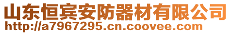 山東恒賓安防器材有限公司