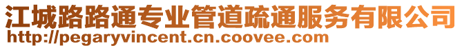 江城路路通專業(yè)管道疏通服務有限公司