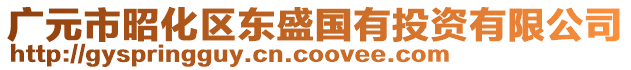 廣元市昭化區(qū)東盛國(guó)有投資有限公司