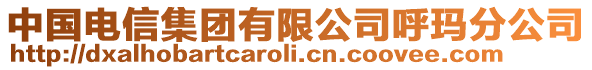 中國(guó)電信集團(tuán)有限公司呼瑪分公司