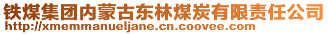 鐵煤集團(tuán)內(nèi)蒙古東林煤炭有限責(zé)任公司