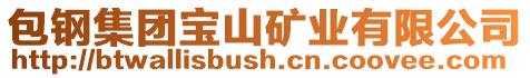 包鋼集團寶山礦業有限公司