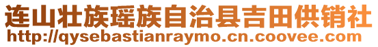 連山壯族瑤族自治縣吉田供銷社
